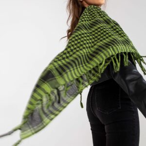 4ed257cd451dcd19c890153d5b510b1e