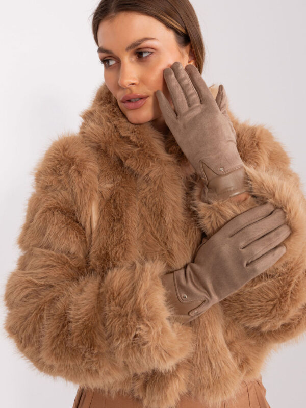 Rękawiczki Model AT-RK-239507.53P Dark Beige - AT
