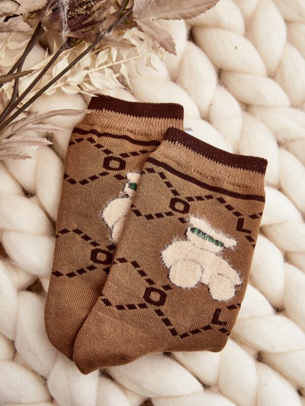 Skarpety Model SK.29382/NV529 Brown - Step in style