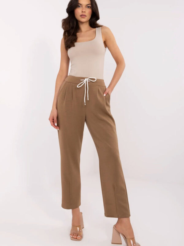 Spodnie Dresowe Model DHJ-SP-20523.66P Light Brown - Italy Moda