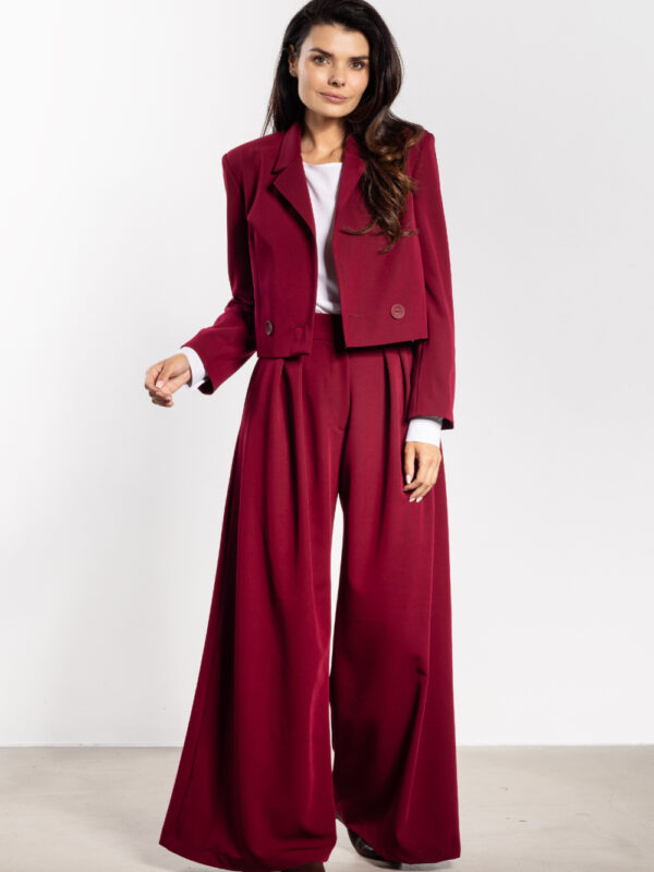 Marynarka Model A744 Claret - awama