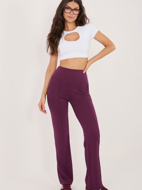 Spodnie Dresowe Model RV-DR-A1289.01 Dark Violet - Rue Paris