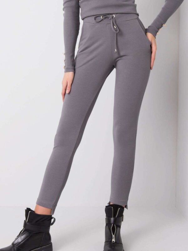 Spodnie Dresowe Model RV-DR-6002.14X Dark Grey - BFG