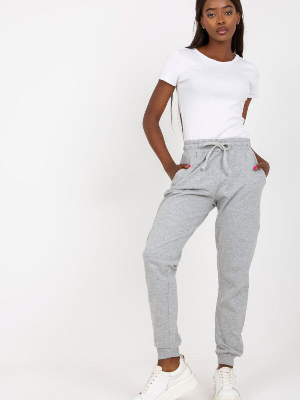 Spodnie Dresowe Model B-006.02 Grey - BFG