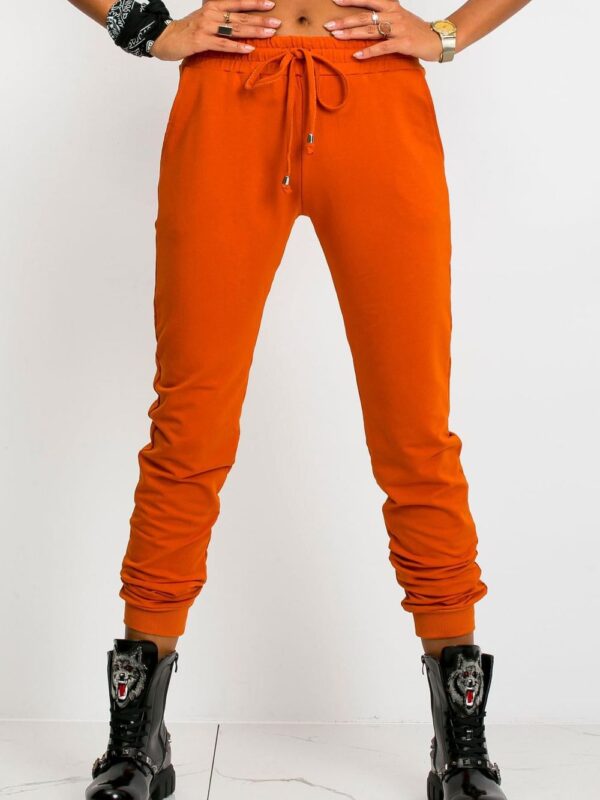 Spodnie Dresowe Model RV-DR-5040.07X Dark Orange - BFG