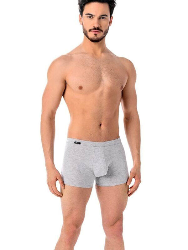 Bokserki Model Levi 801 Grey - Teyli